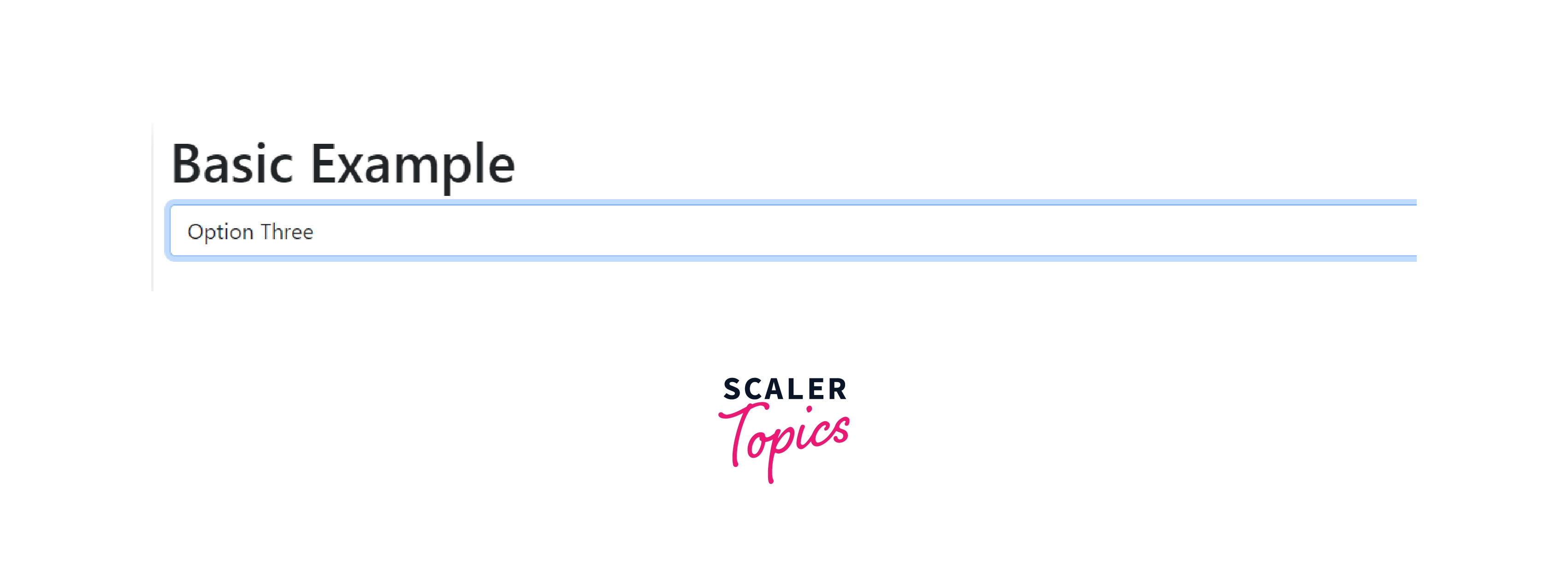 Bootstrap Select Scaler Topics