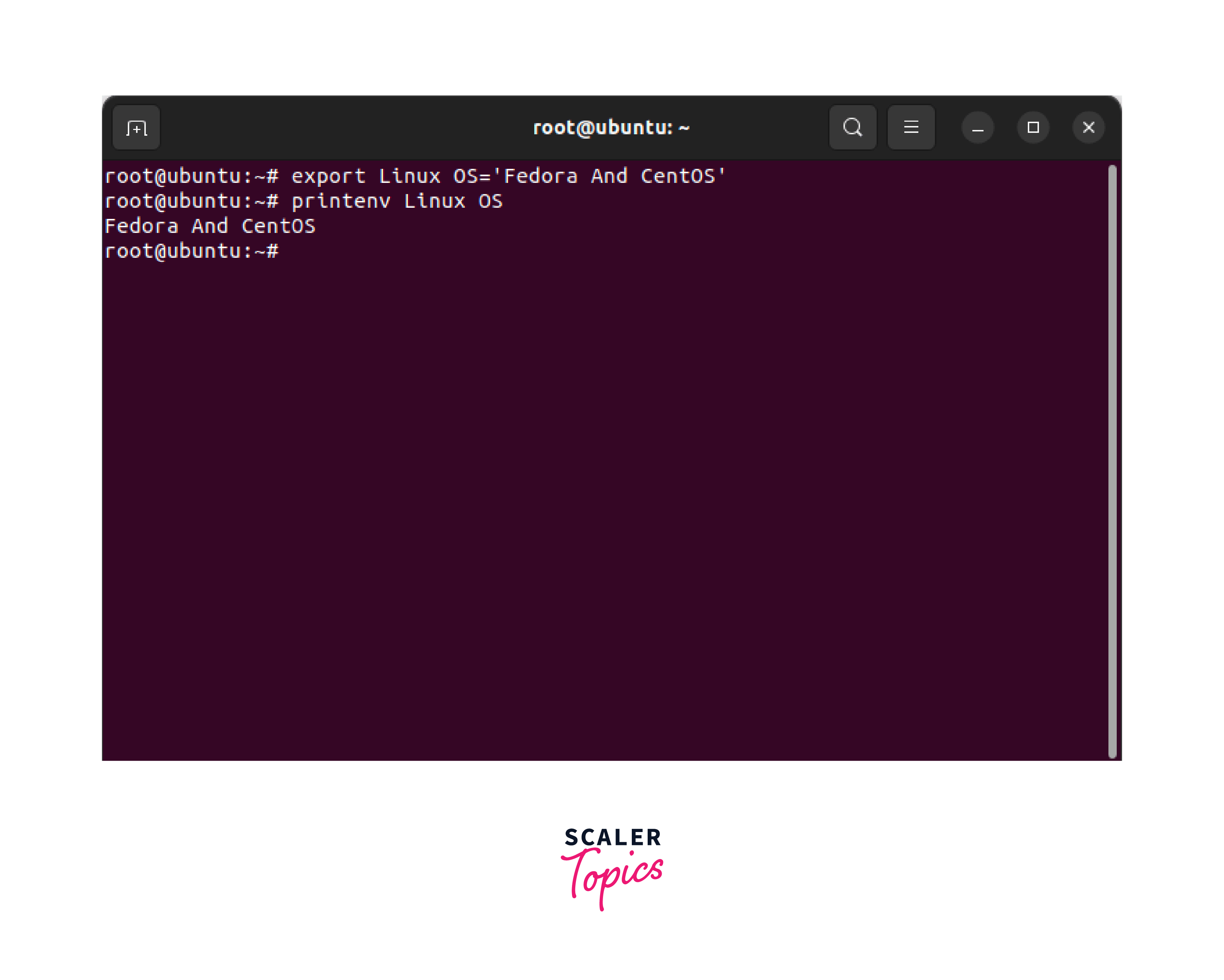How to List and Set Environment Variables in Linux? Scaler Topics