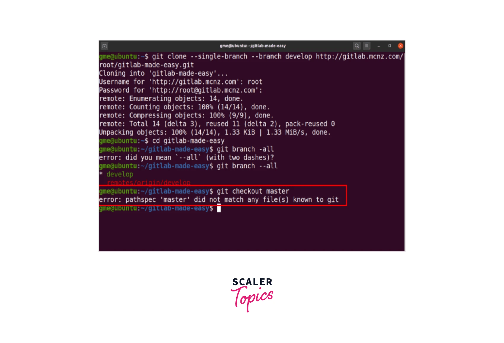 How to Use Git Shallow Clone? Scaler Topics
