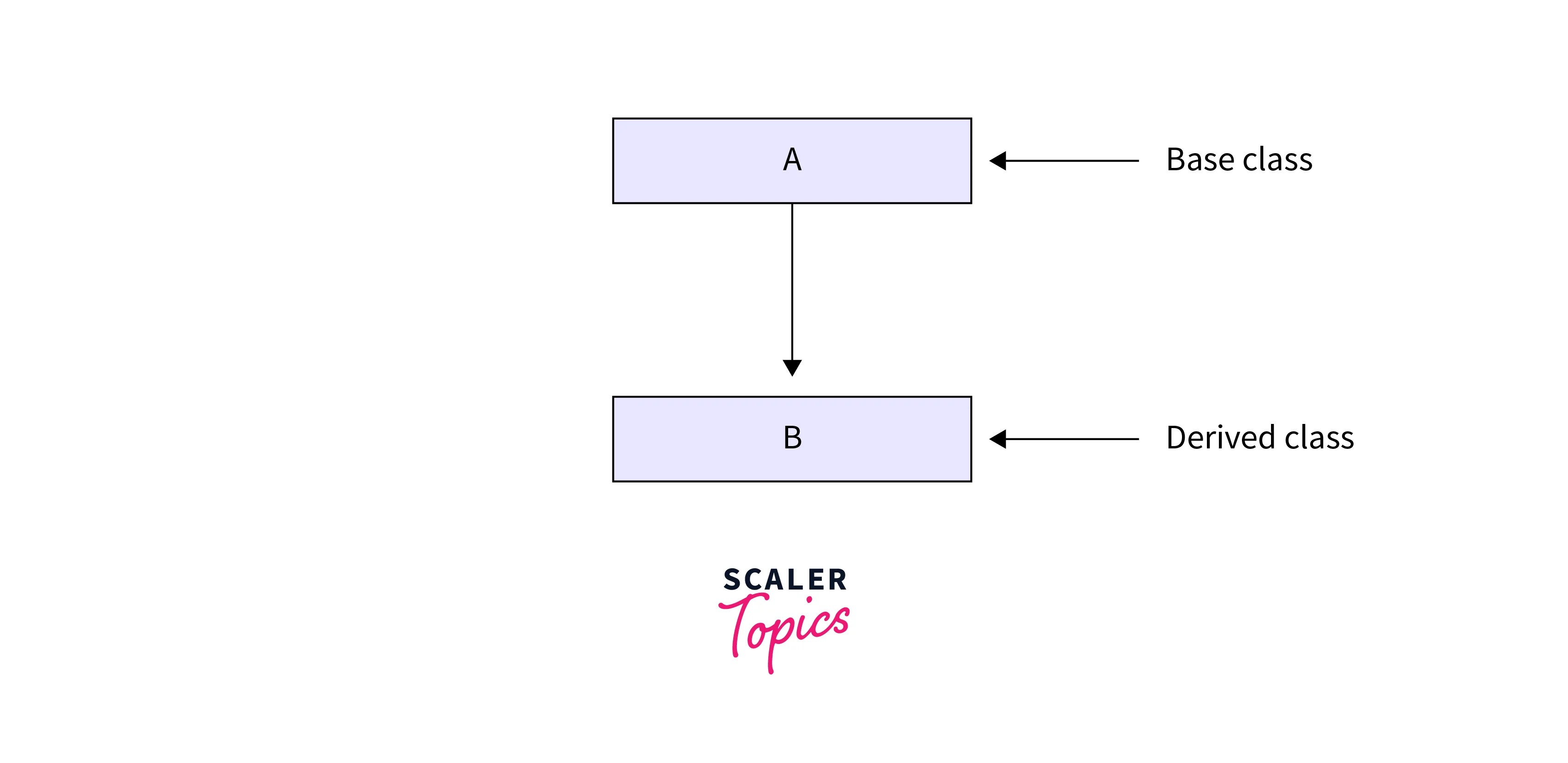 C Inheritance with Examples Scaler Topics