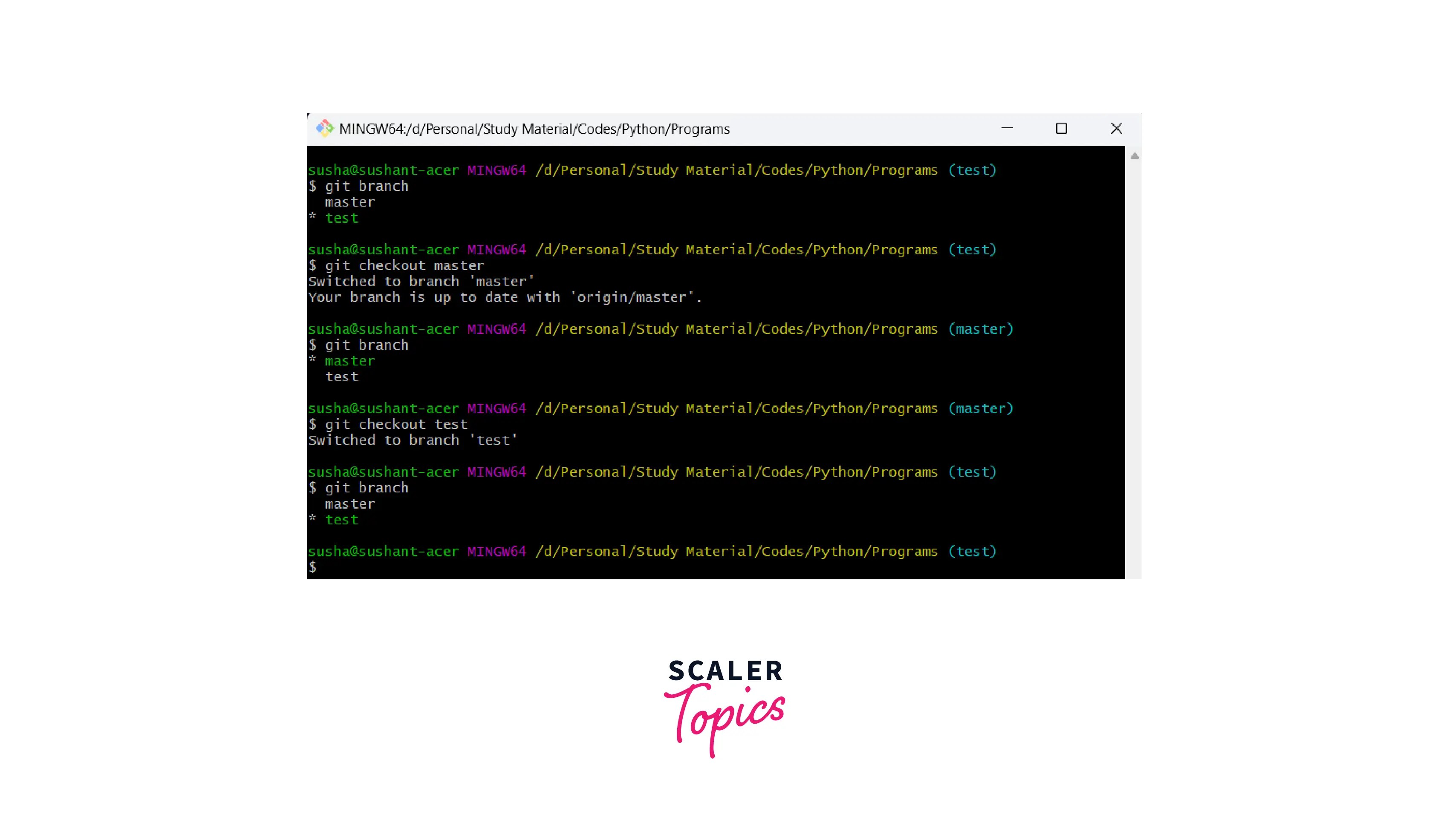 Introduction to Git Branches Scaler Topics