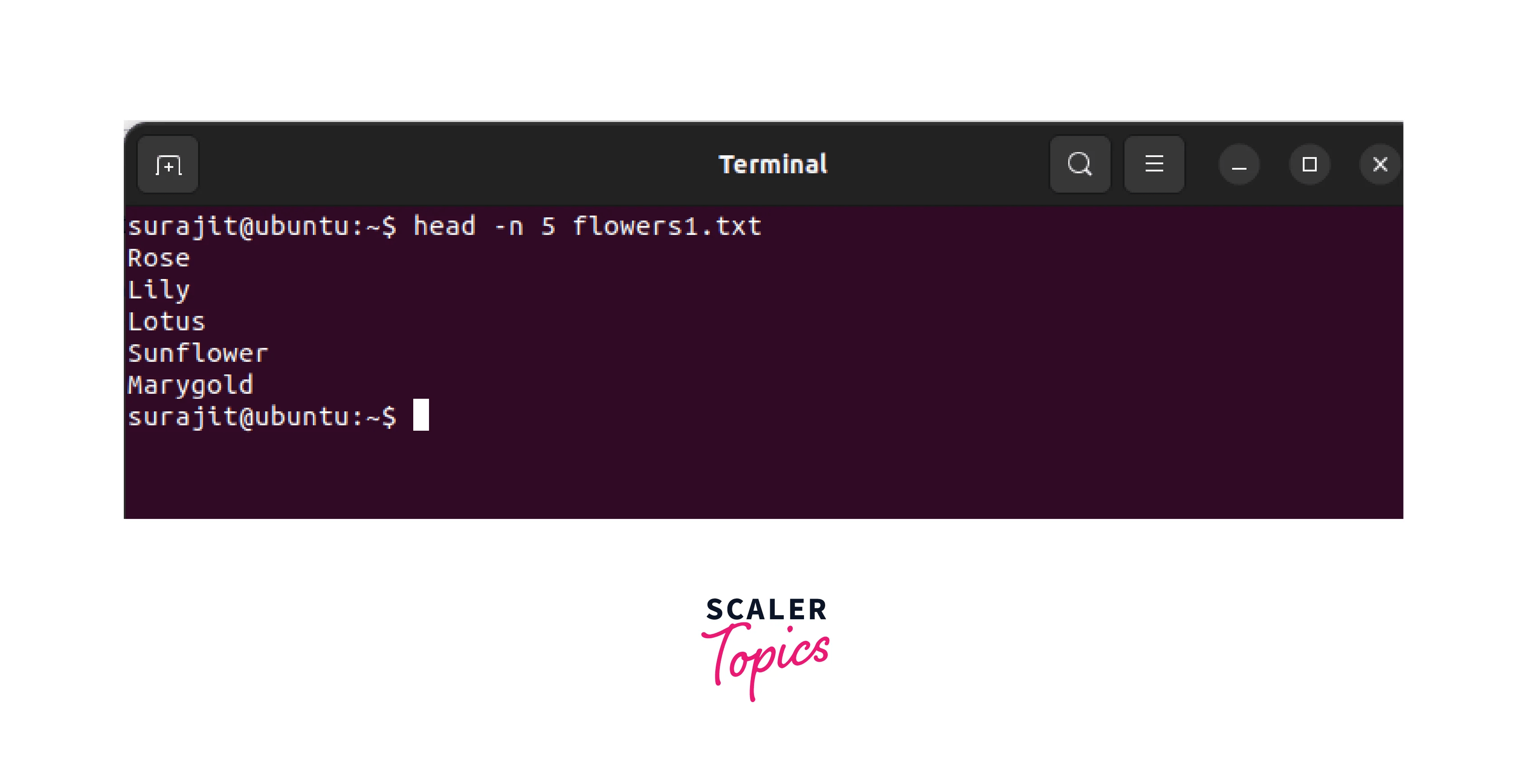 Head Command in Linux Scaler Topics