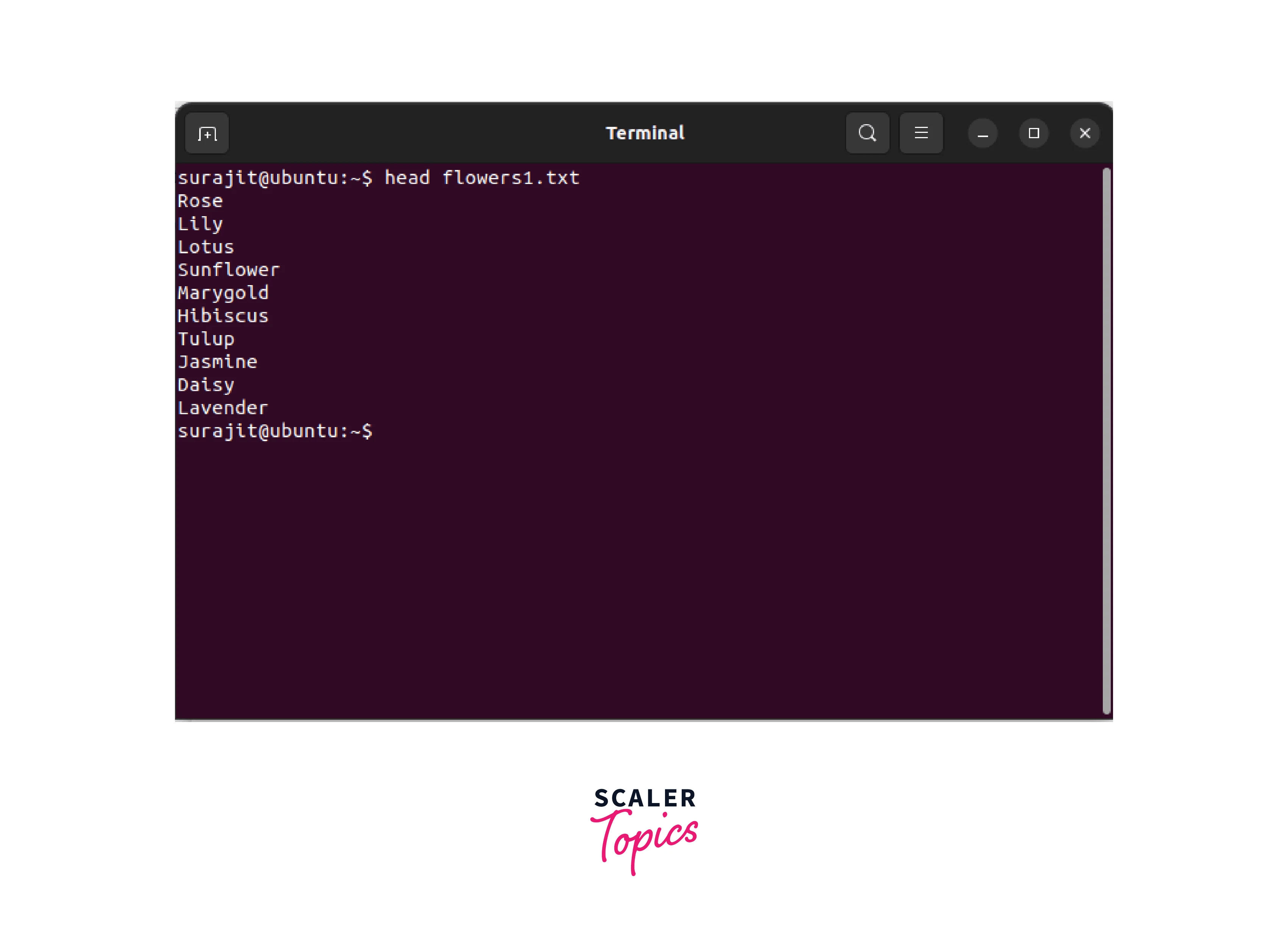 Head Command in Linux Scaler Topics