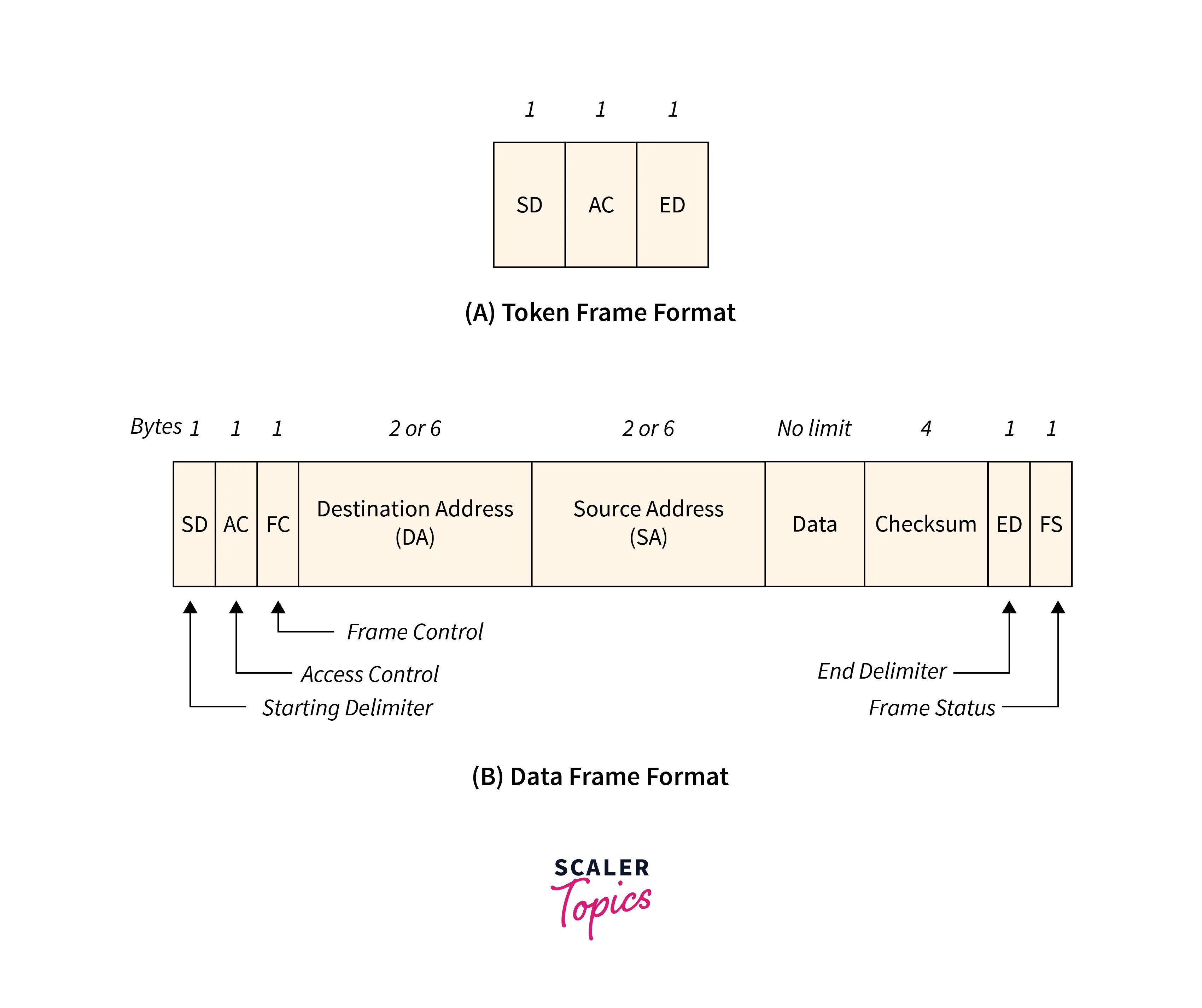 Token Ring in Computer Networks Scaler Topics