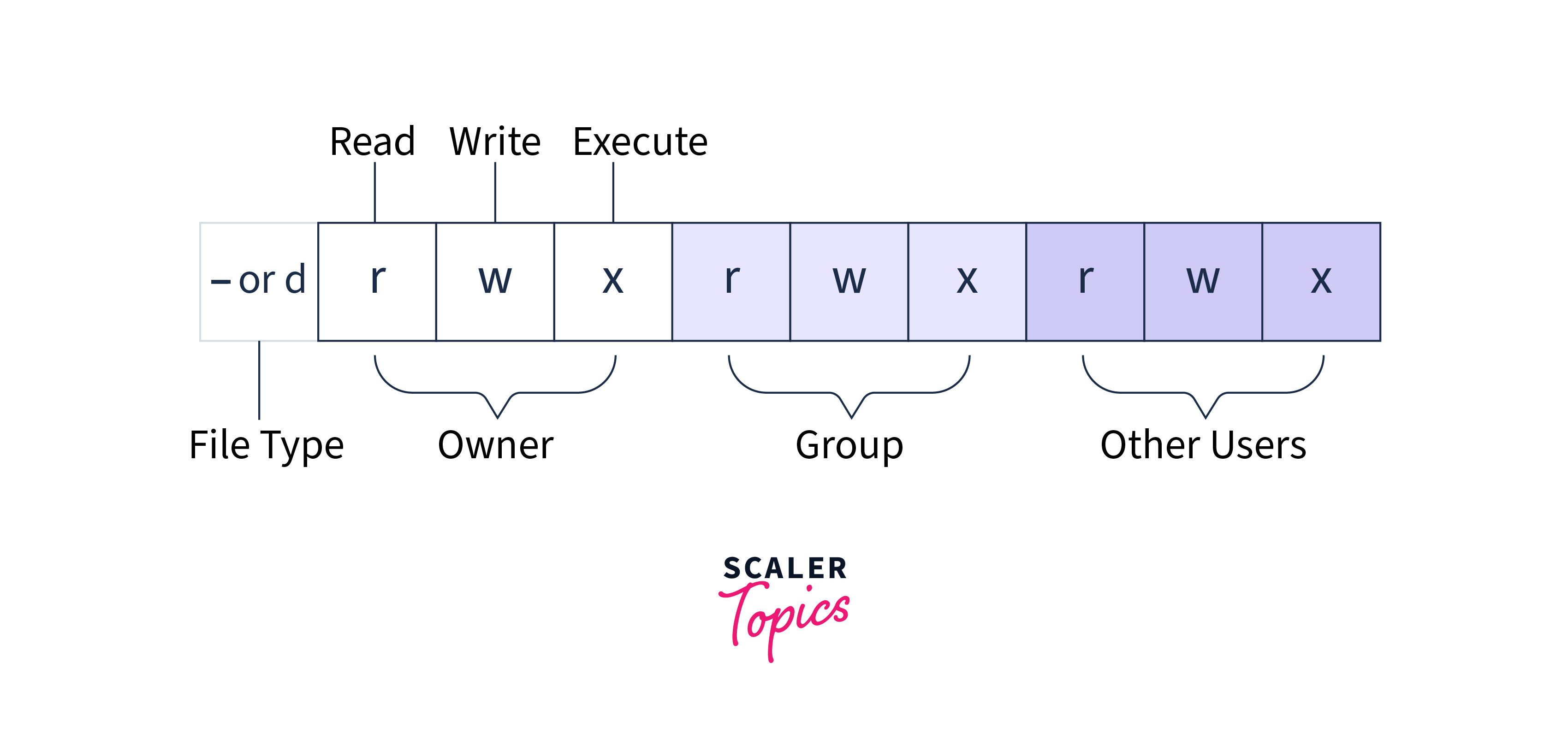 How to View File Permissions in Linux? Scaler Topics