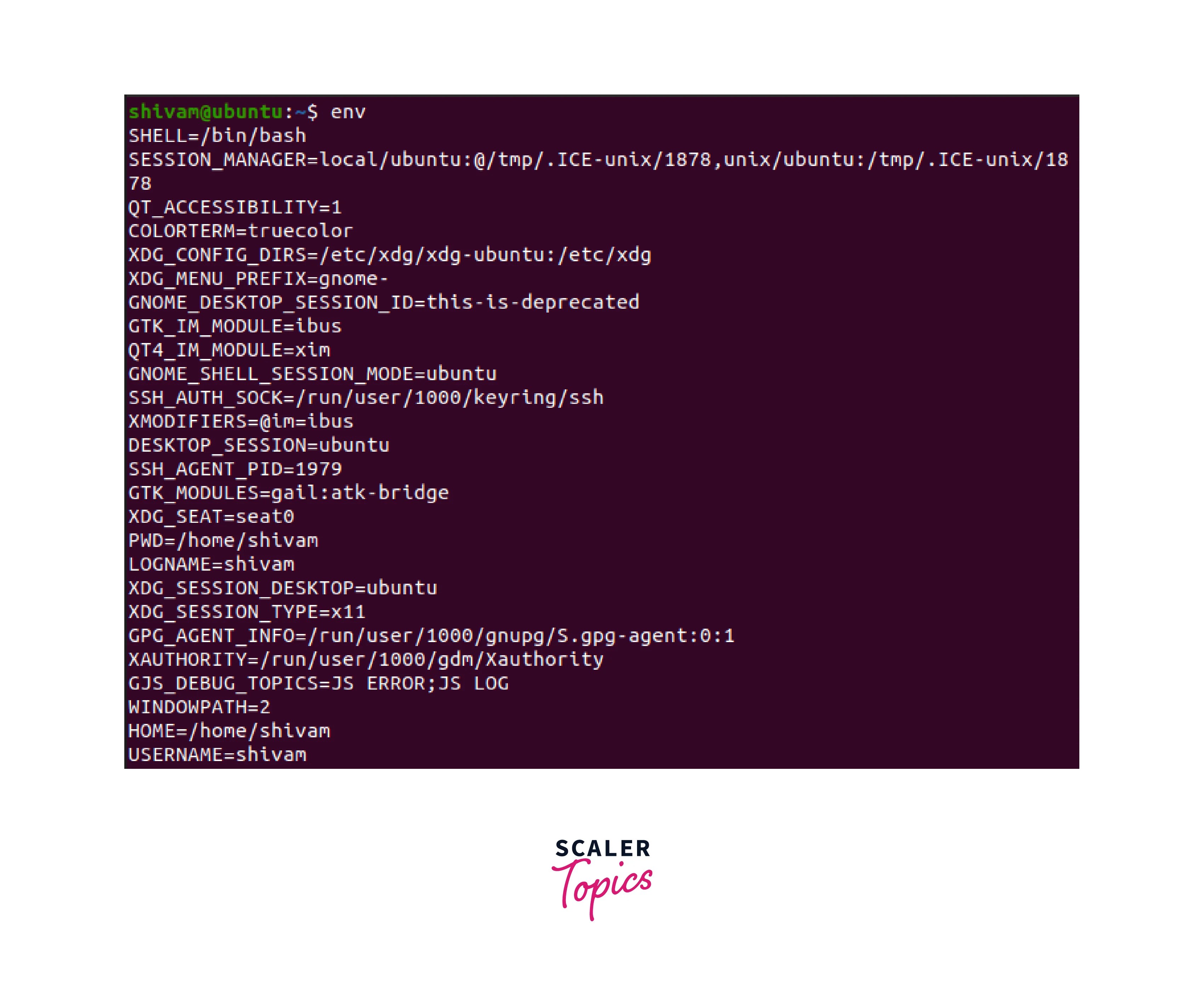 How to use variables In Linux? Scaler Topics