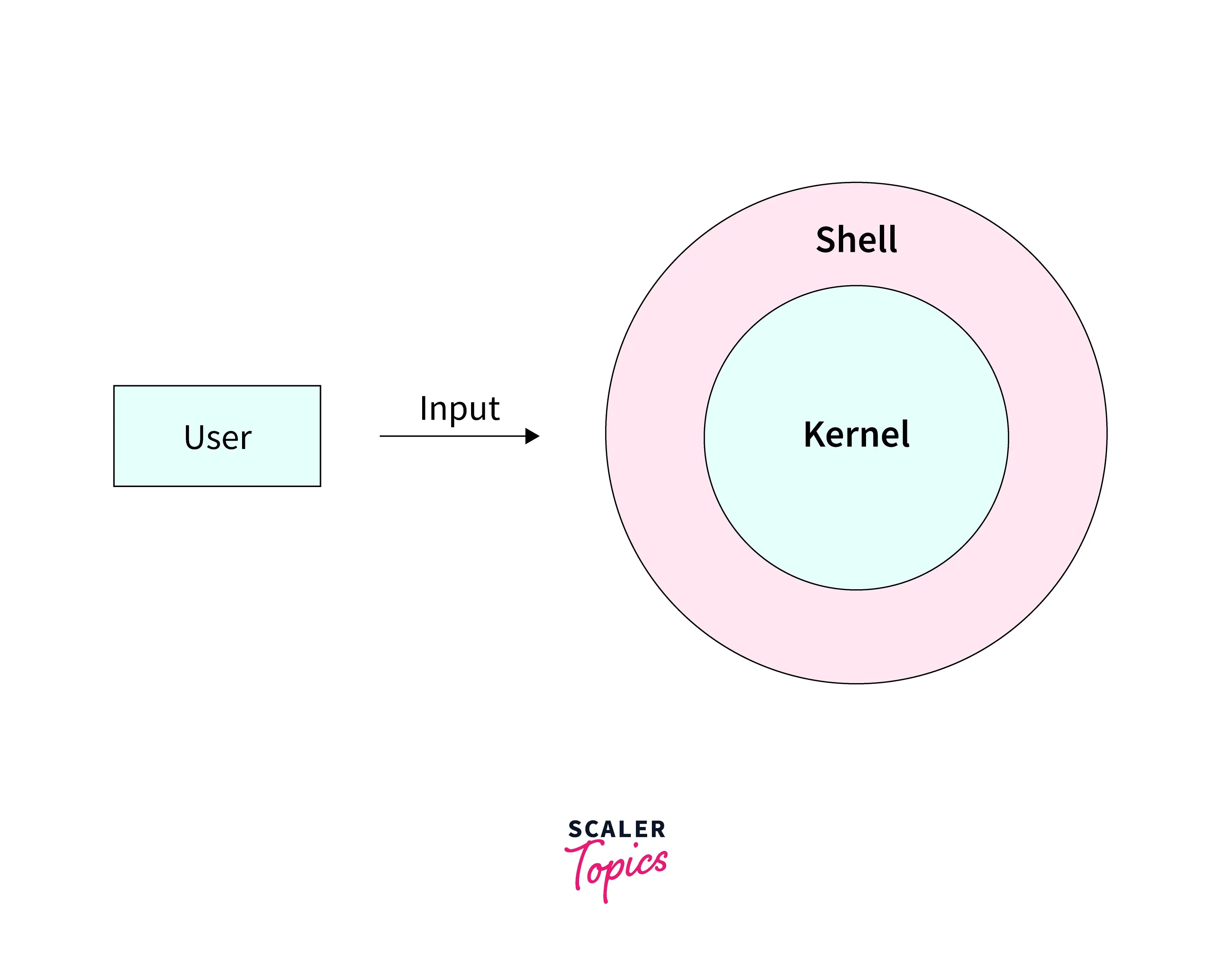 Getting Started with Bash Scripting in Linux Scaler Topics
