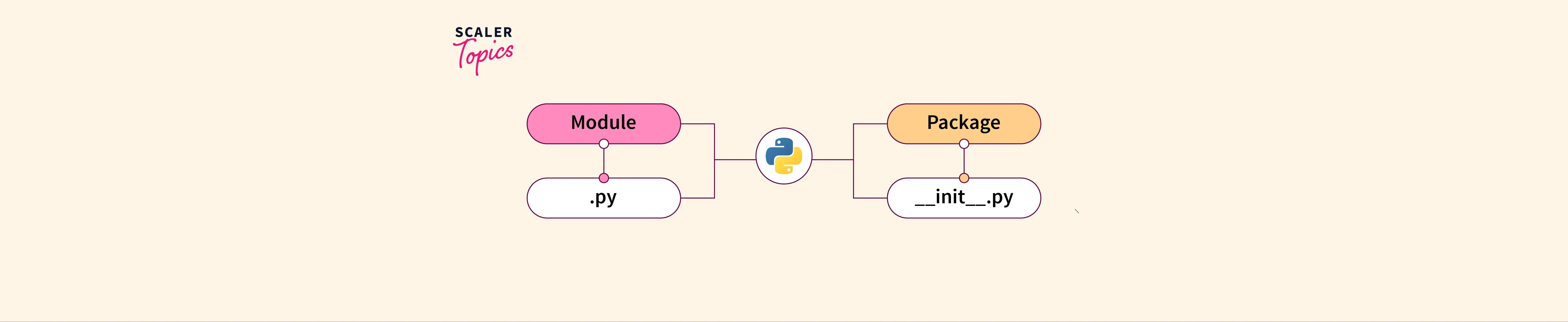 What is the Difference between Module and Package in Python? Scaler