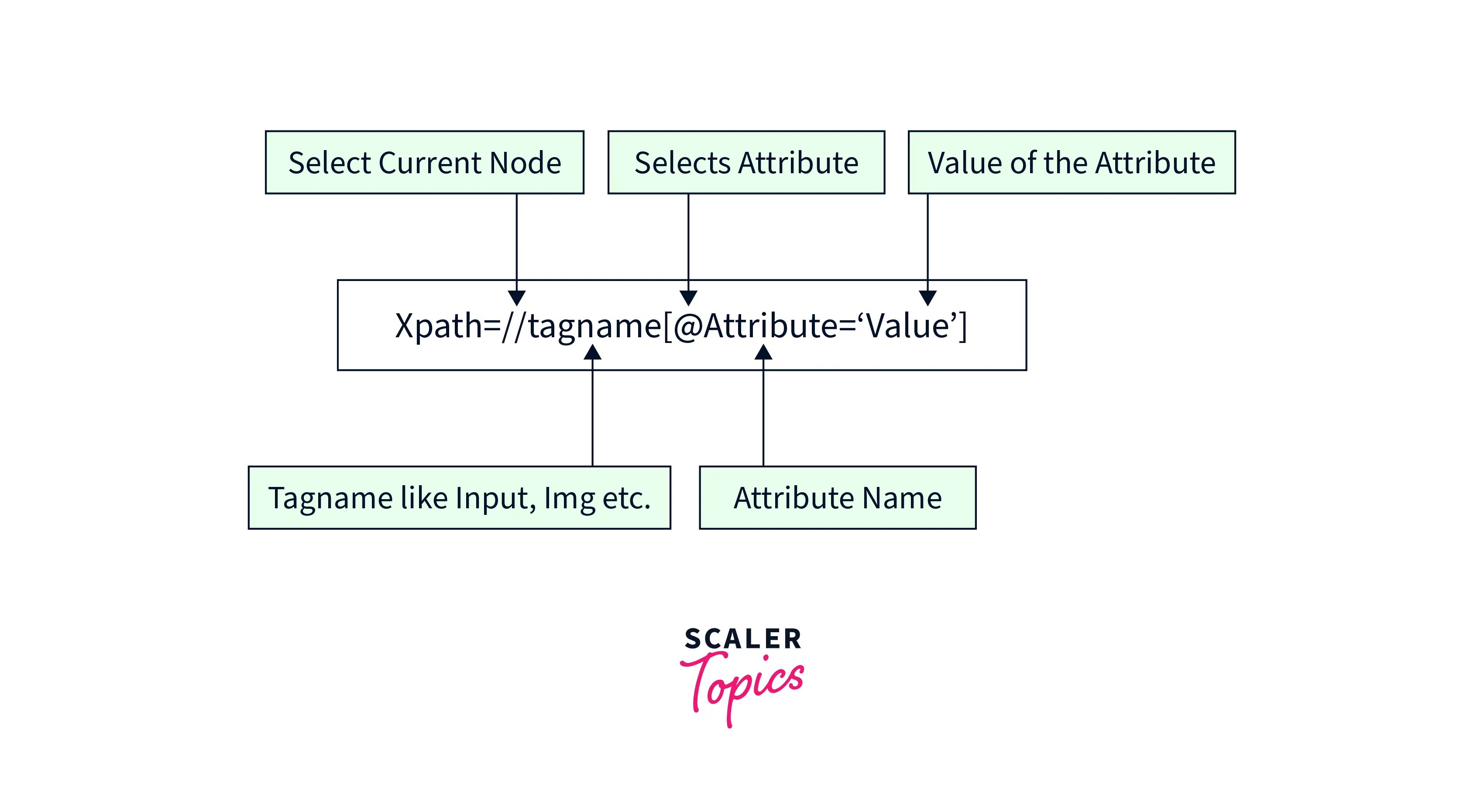 Xpath in Selenium Scaler Topics