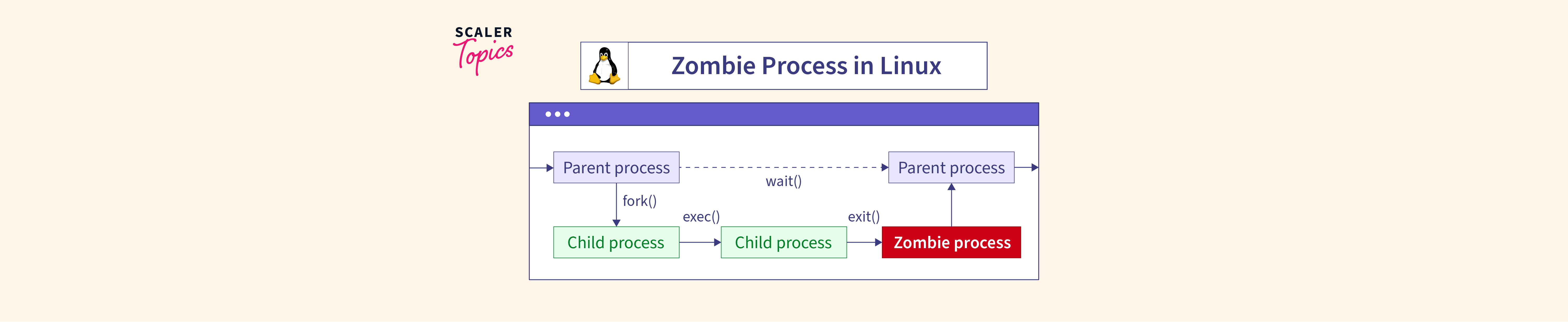 What is Zombie Process in Linux? Scaler Topics