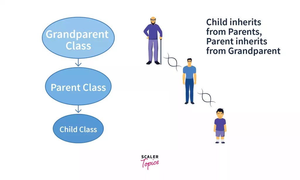 Inheritance in Python Scaler Topics