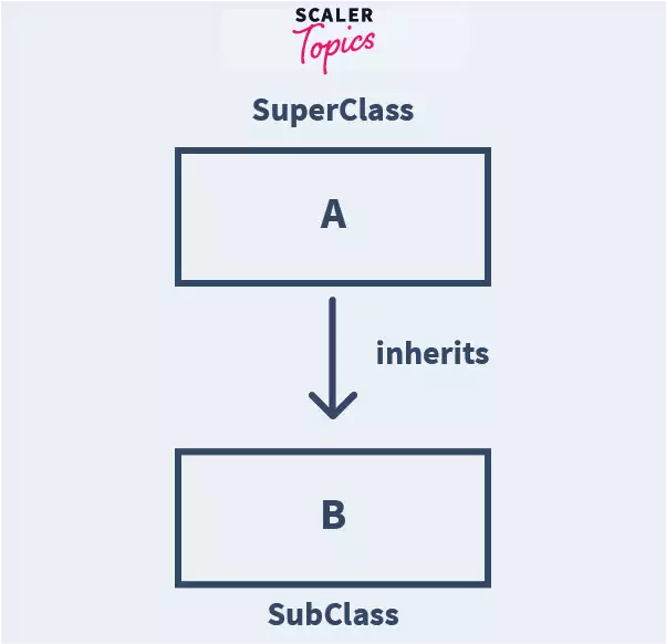 Inheritance in Java Scaler Topics