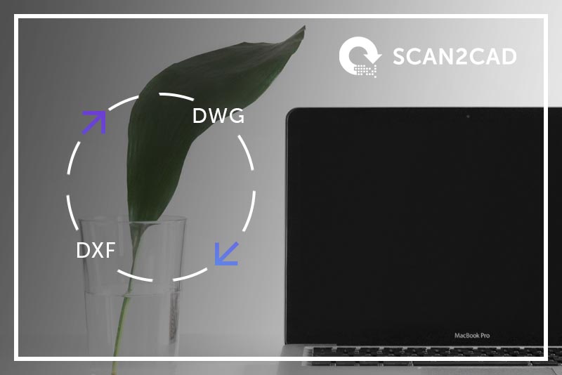 Ultimate Guide Convert DWG to DXF by Scan2CAD