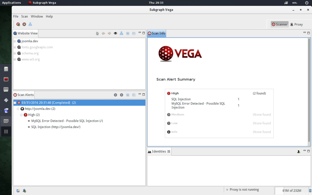 Vega Scan For Security
