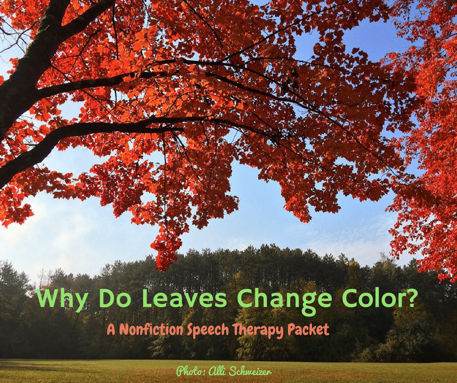 Why Do Leaves Change Color Scanlon Speech Therapy