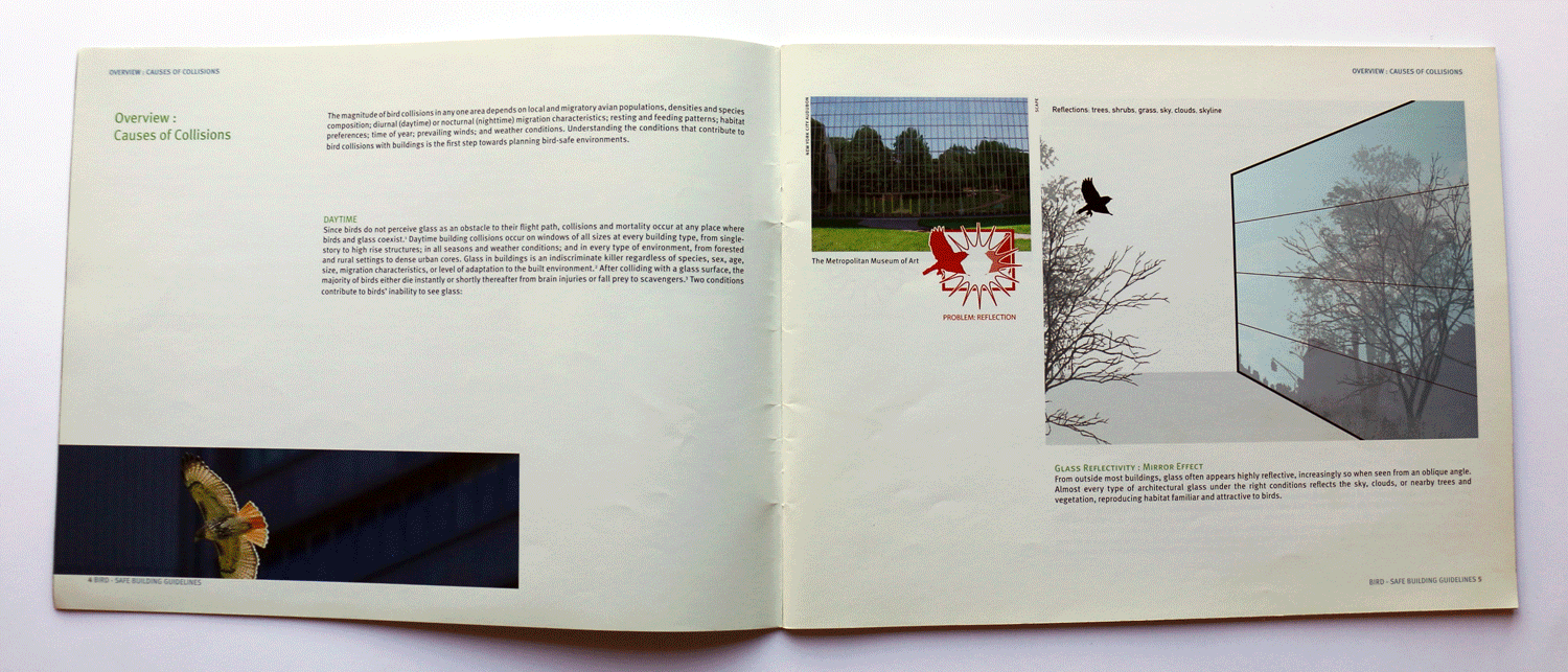 BirdSafe Building Guidelines SCAPE