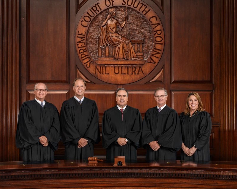 The South Carolina Judicial Branch(02)