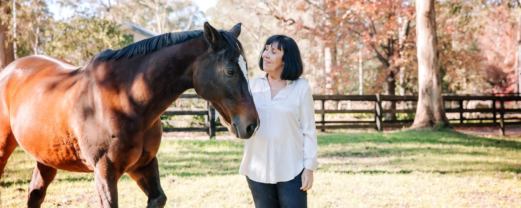 Equine Therapy Session Equine Therapy Cost Per Session