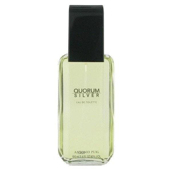 Quorum Silver Eau de Toilette 100ml Scentstore