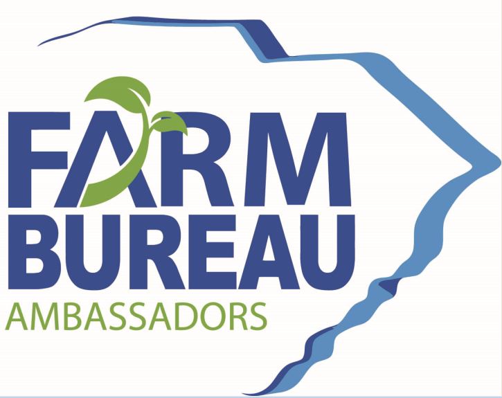 2022 Youth Ambassador Scholarship Program South Carolina Farm Bureau