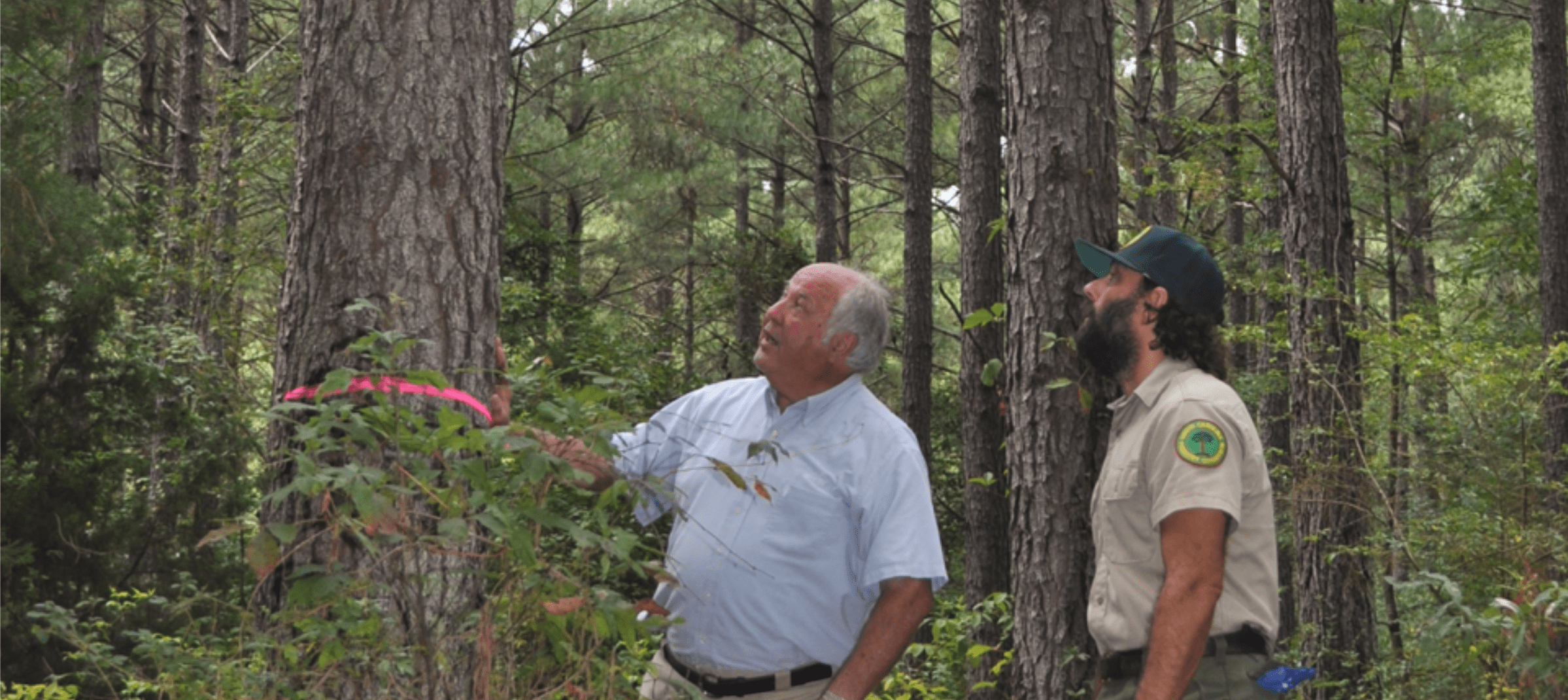 Landowner Services - South Carolina Forestry Commission