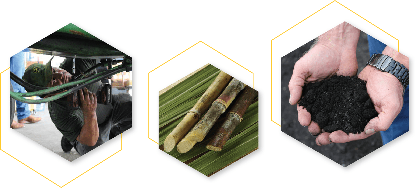 Sugar Cane Growers Cooperative of Florida Working for Sugar Growers