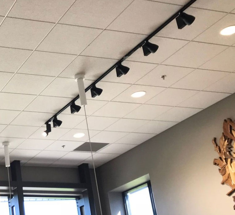 Acoustical Ceilings Inc Mn Review Home Decor