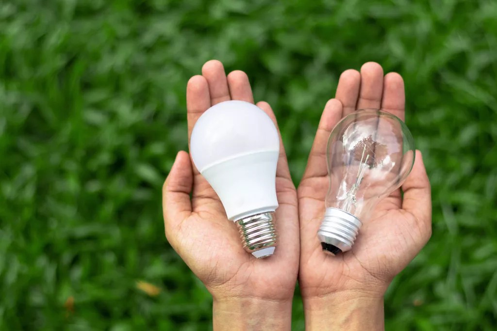 Are Incandescent Light Bulbs Banned in Sonoma County?