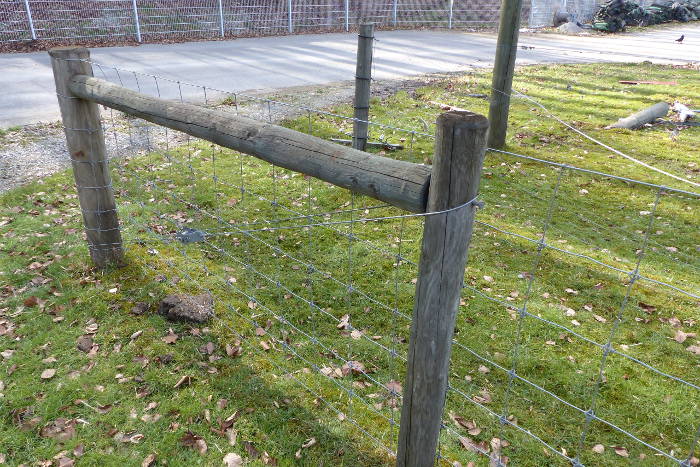 Zaunbau für Schafe und Ziegen