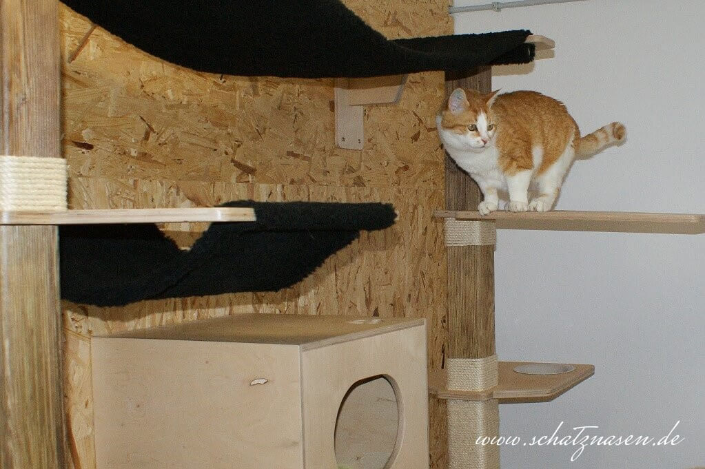Wandkratzbäume selbst bauen Kletterspaß für Katzen