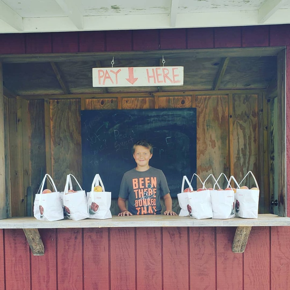 Savoring Leelanau's Harvest