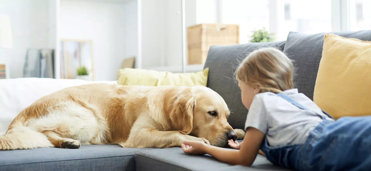 Professional HVAC Services in the Quad Cities Schebler Heating and Air