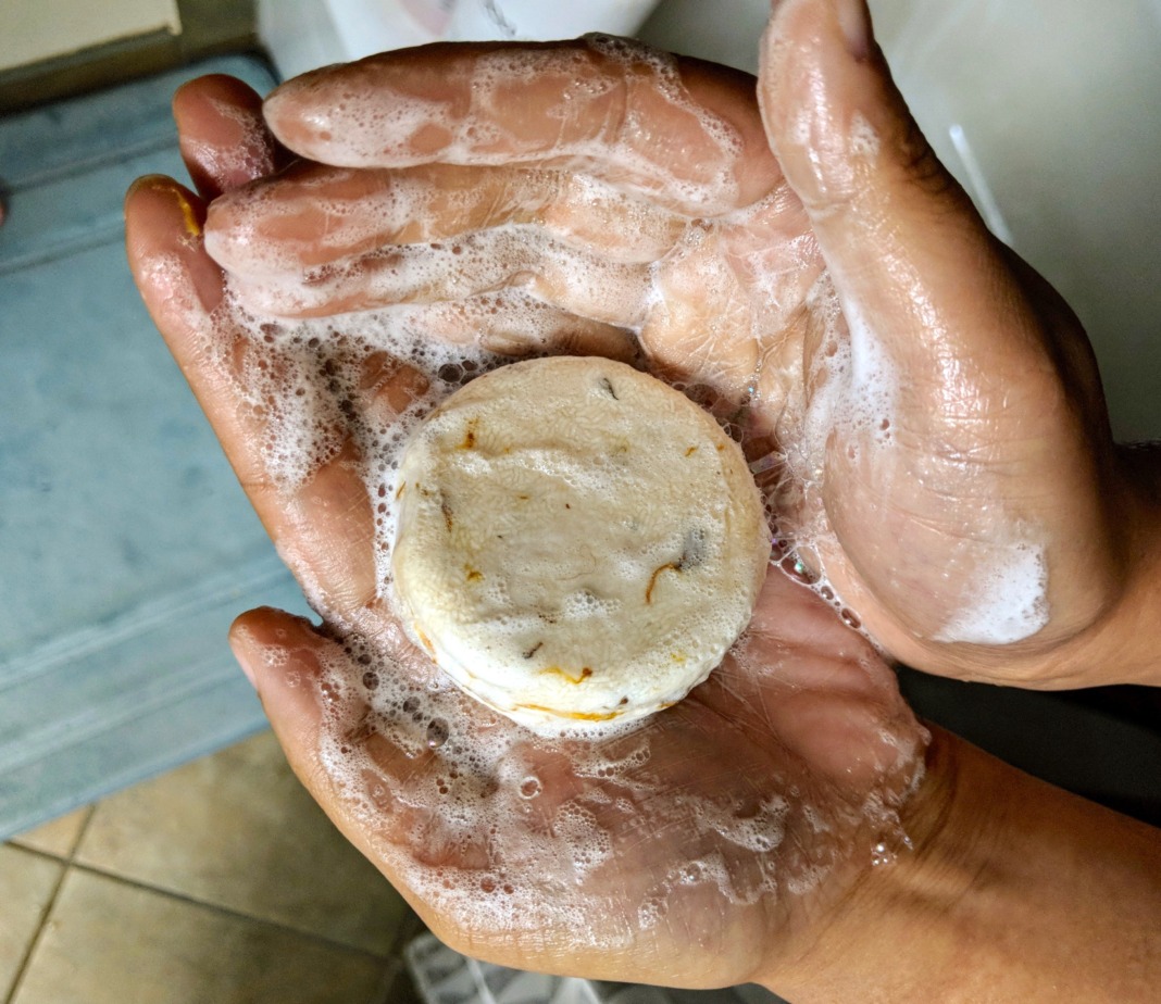 LUSH Shampoo Bar Review Plus Pros and Cons Schimiggy Reviews