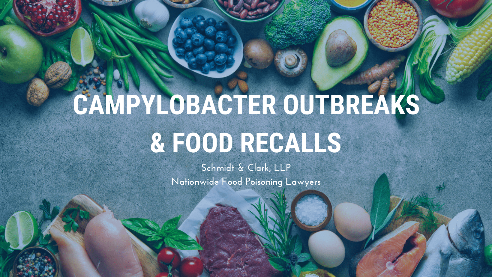 Campylobacter Food Poisoning Lawsuit S&C Law Firm