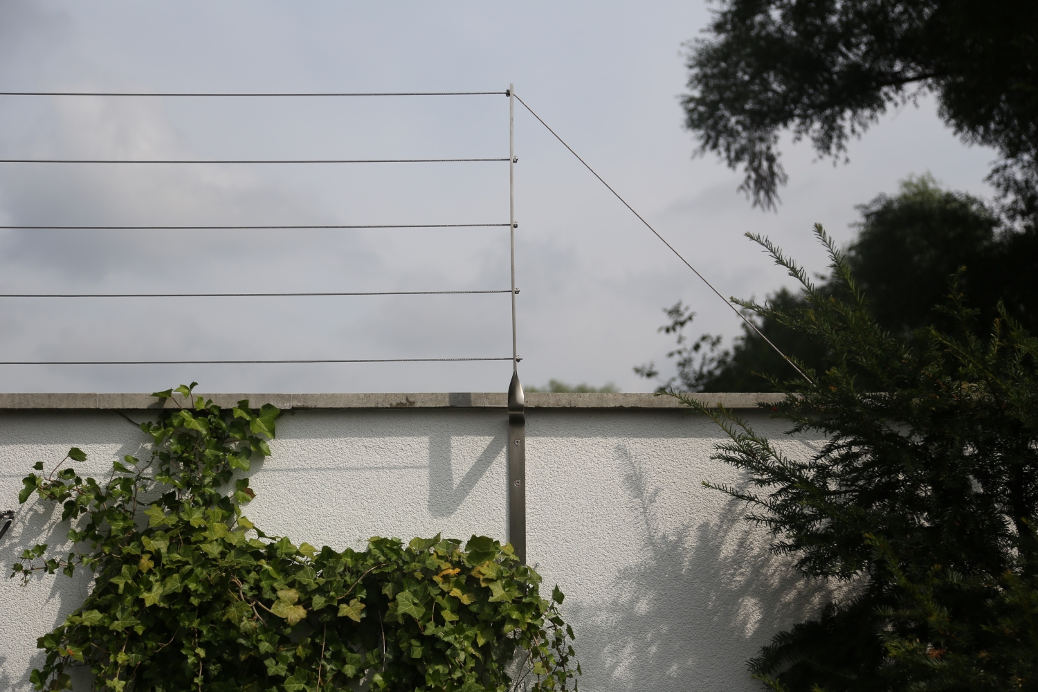 Rankgitter aus Edelstahl mit Edelstahl Seil