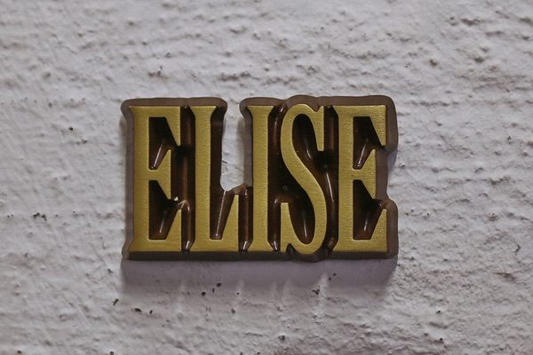 Aluminium Schriftzug Elise