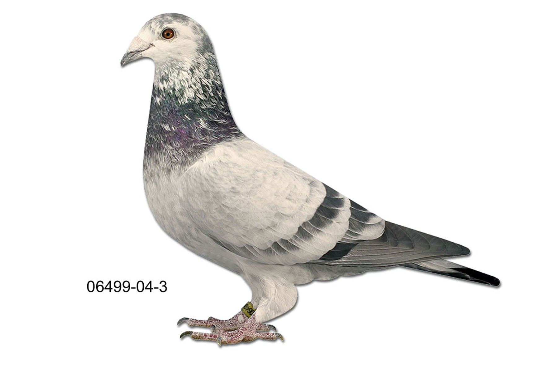 Herzlich Willkonmmen bei Schneider P.M.C.