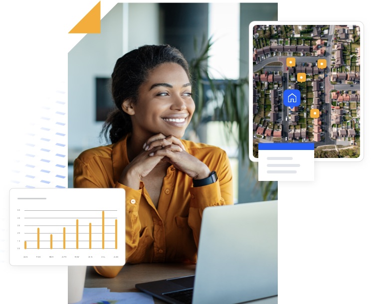 GovTech Services Schneider Geospatial