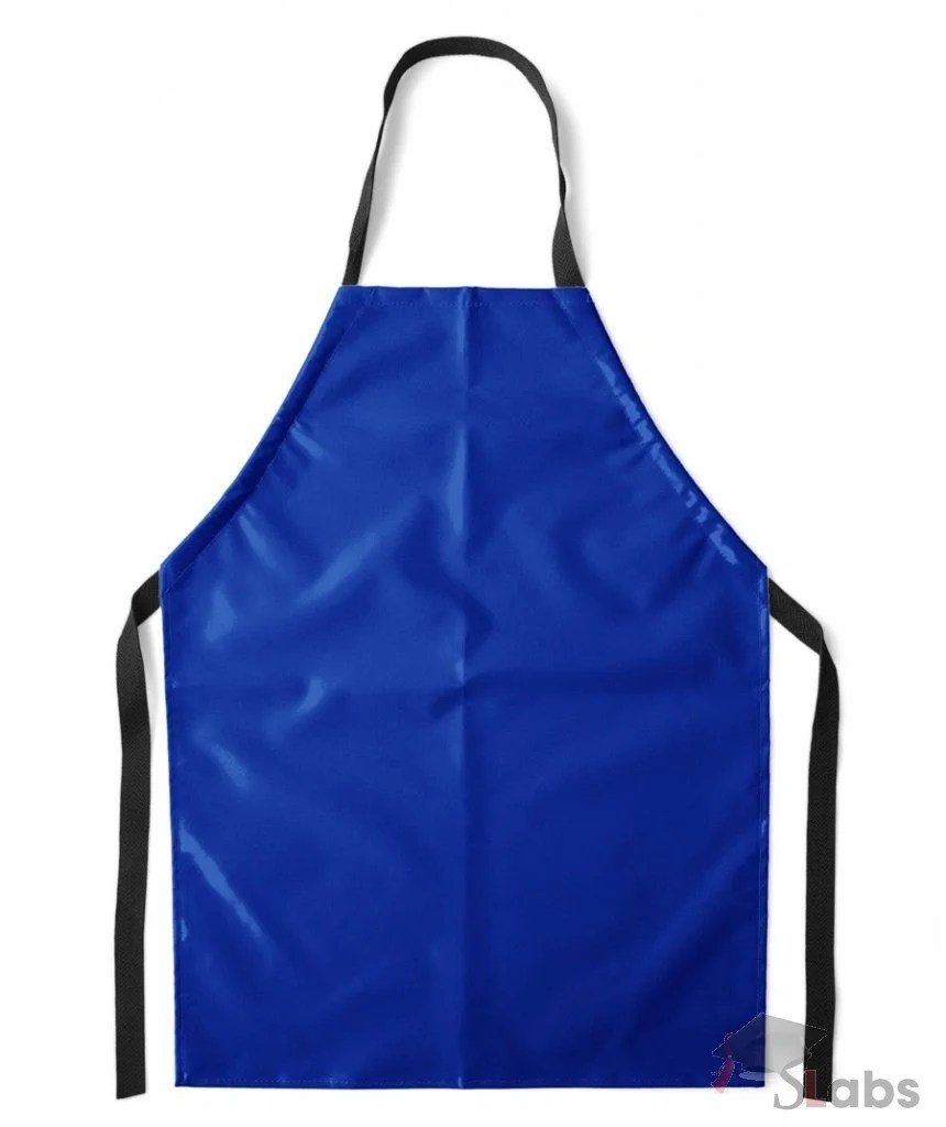 Apron PVC Scholars Labs