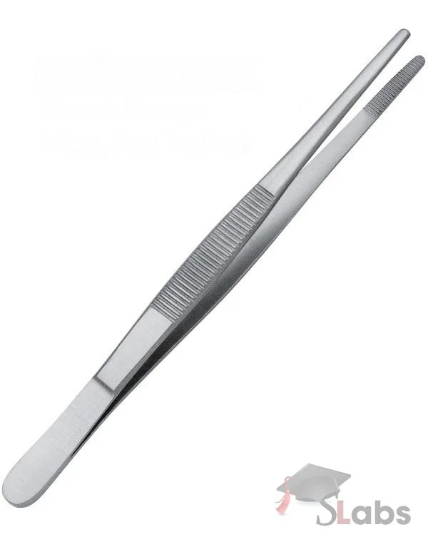 Forceps Plain Scholars Labs
