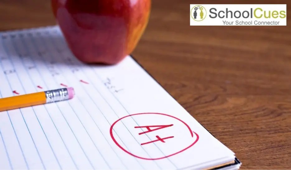 The Different Types of Grading Systems That Your School Can Use