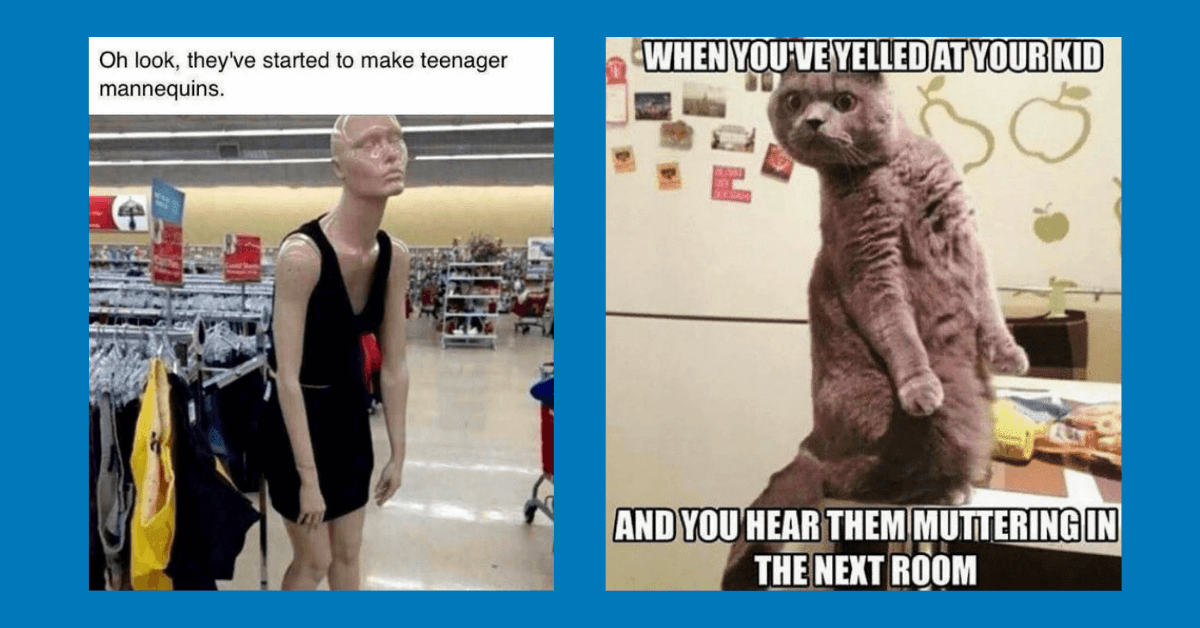 20 Memes that PERFECTLY Sum Up Parenting Teenagers SIE