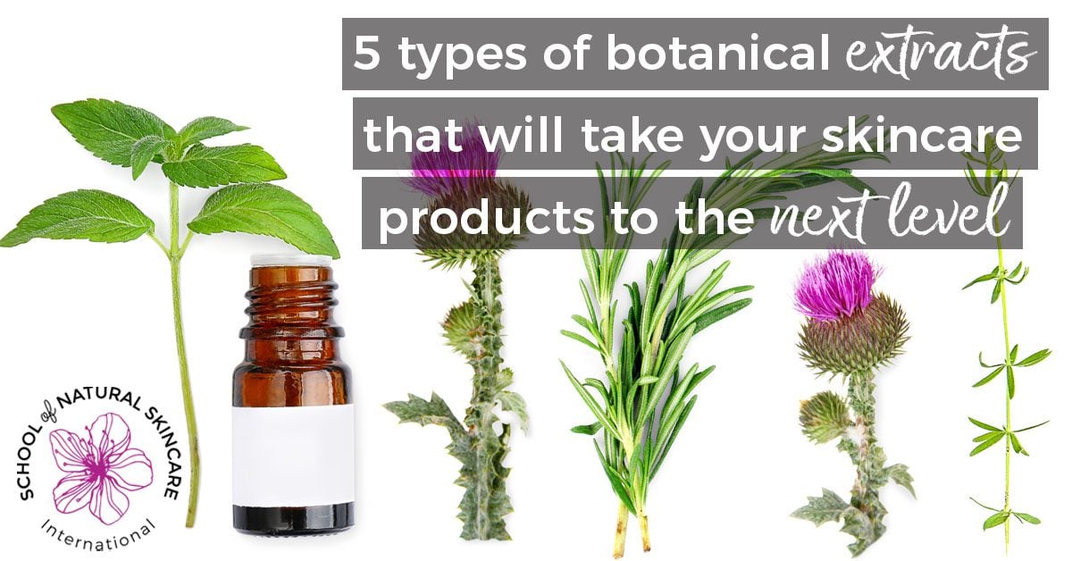 5 types of botanical extracts that will take your skincare products to