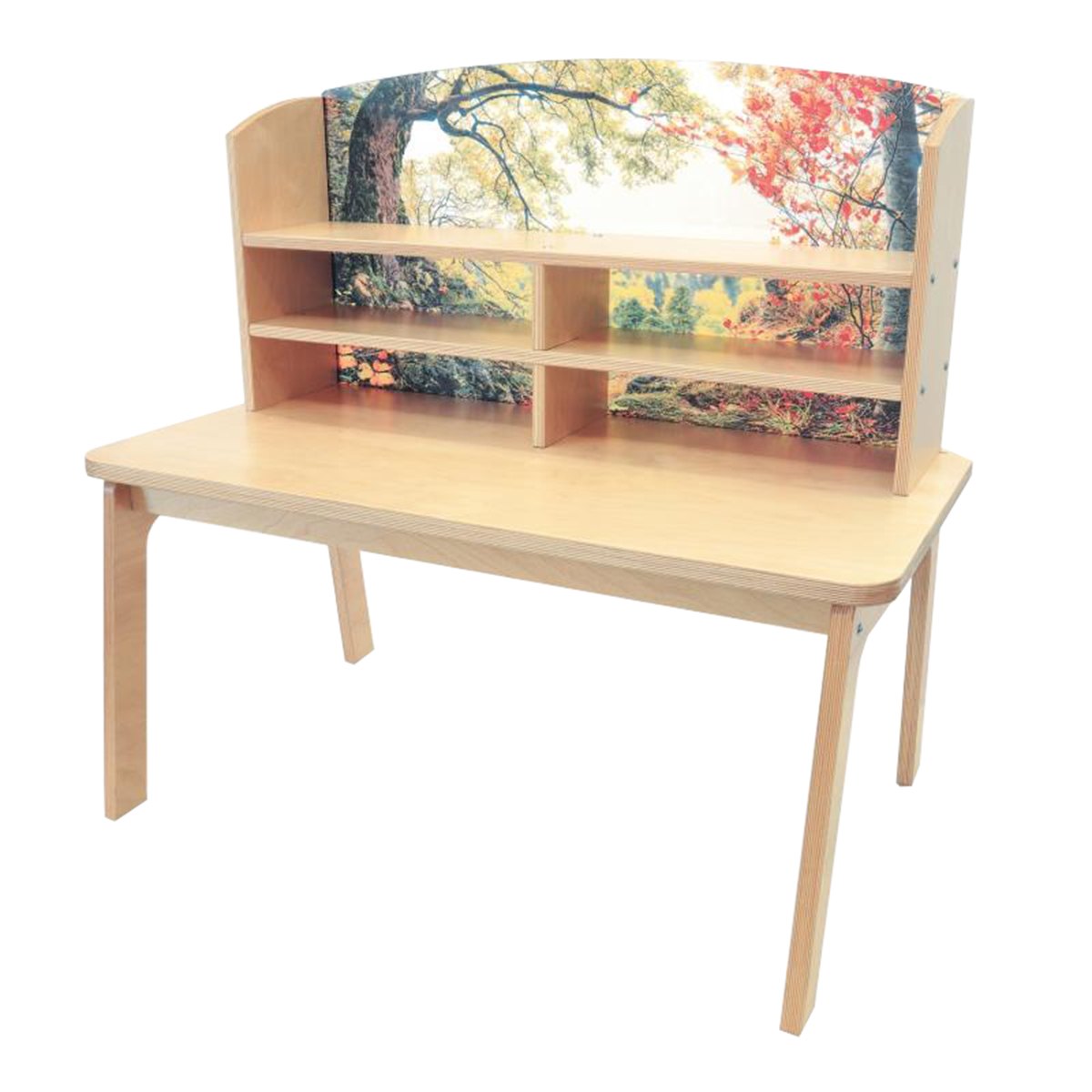 Nature View Writing Desk Schools In