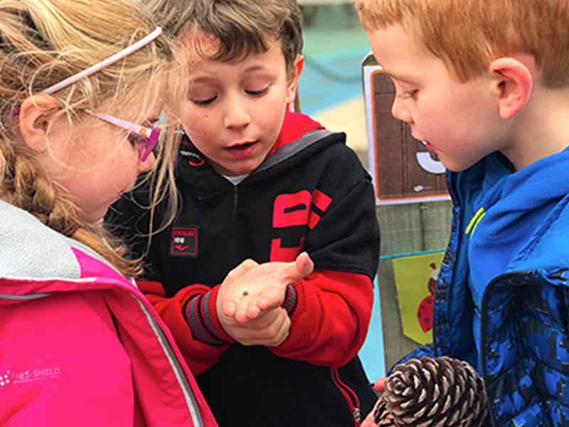 Day Camp for 4 to 6yearolds Early Explorers School&#039,s Out Activities