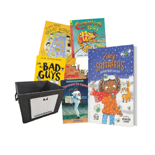 Reading Fundamentals Schoolwide, Inc.