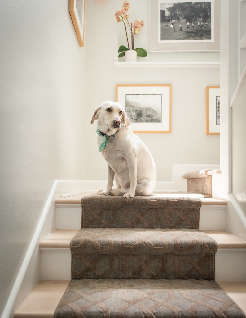 natural fiber Archives Schroeder Carpet