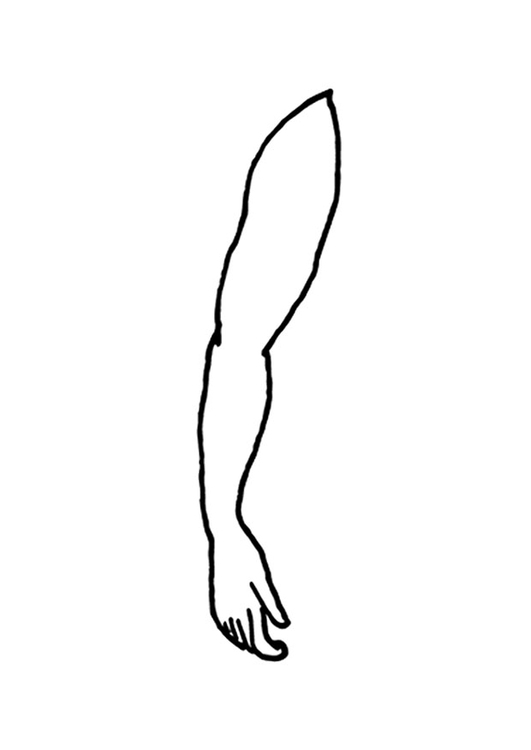 Malvorlage Arm Kostenlose Ausmalbilder Zum Ausdrucken Bild 9520.