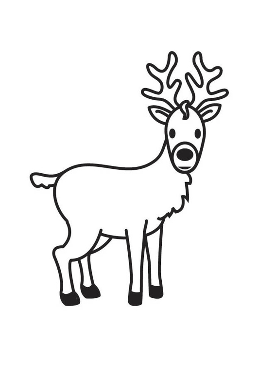 Malvorlage Hirsch Kostenlose Ausmalbilder Zum Ausdrucken Bild 17597.