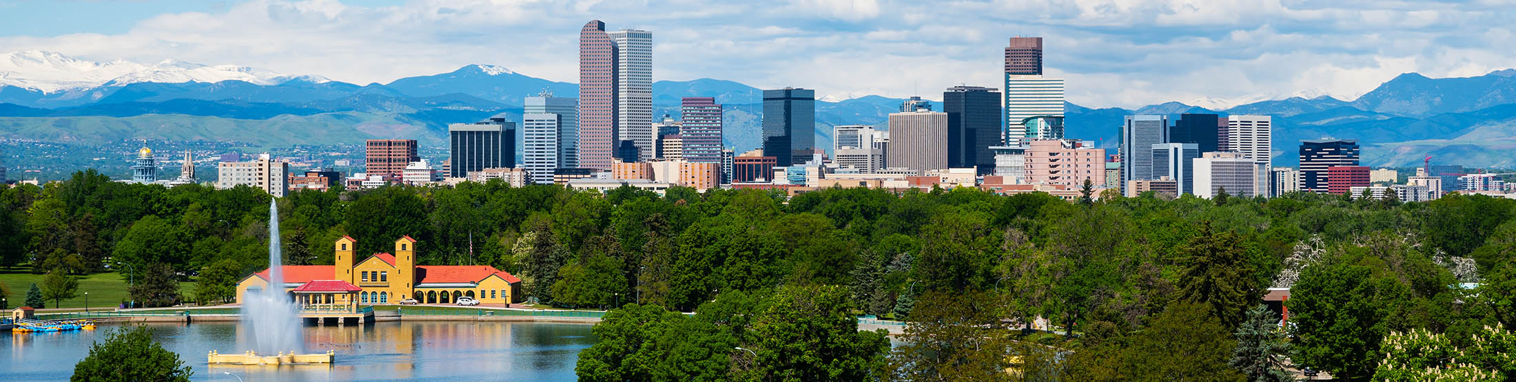 Tree and Lawn Care in Wheat Ridge, Colorado